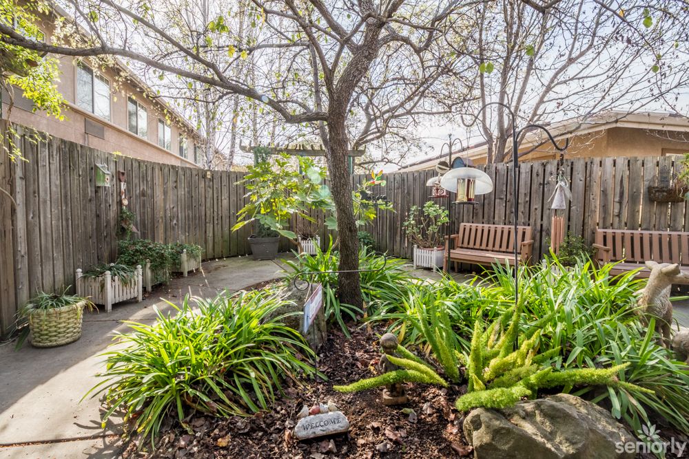 A tranquil backyard garden featuring lush greenery, a central tree, a wooden bench, and surrounding plants.