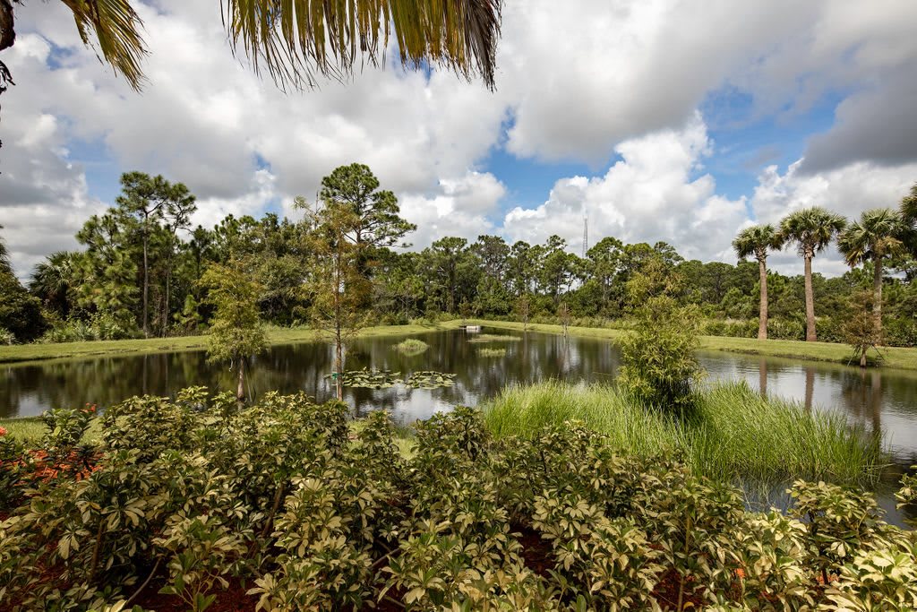 A scenic view of a pond surrounded by lush vegetation and trees under a cloudy sky.