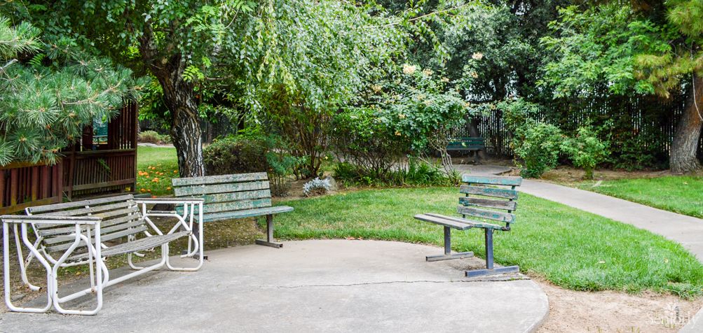 Two benches in a peaceful park setting surrounded by lush greenery.