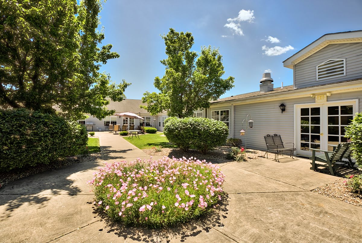 A sunny courtyard garden with blooming flowers and surrounding trees.