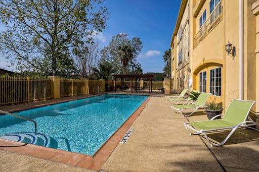 A serene outdoor swimming pool surrounded by lush greenery under a clear blue sky.