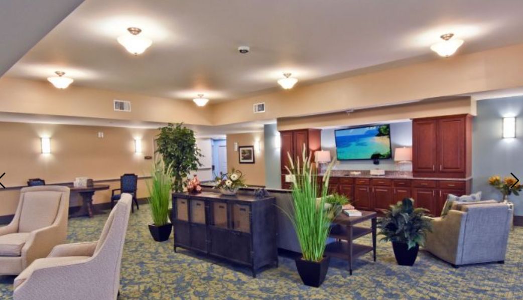 A modern living room interior with comfortable seating, plants, and a mounted TV.