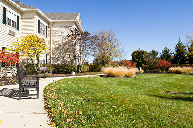 A sunny day in a well-landscaped backyard with a house, lawn, and sidewalk.