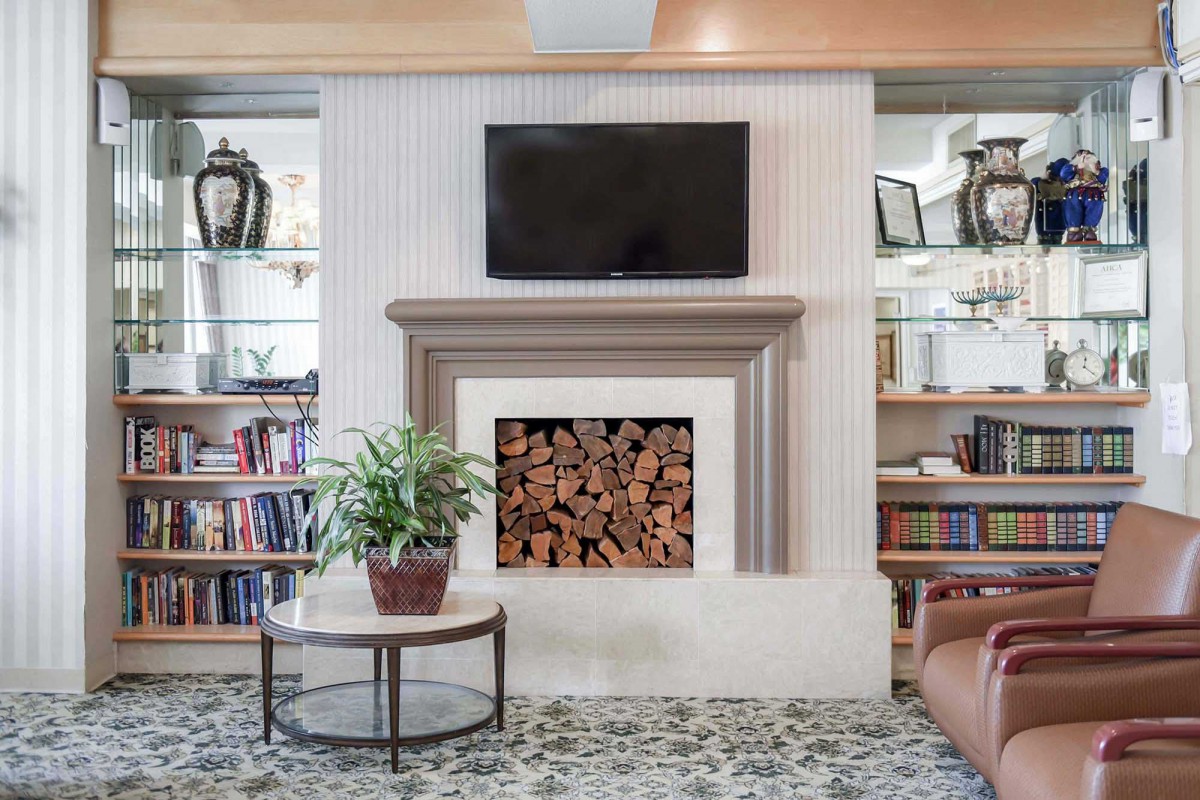 A cozy living room with a fireplace, television, and bookshelves, complemented by an indoor plant on a coffee table.