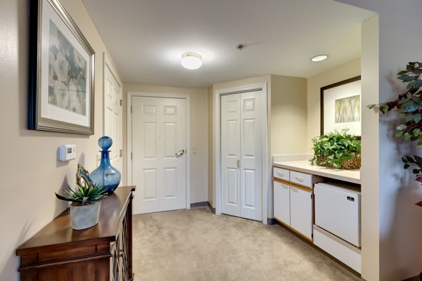 A well-lit hallway with decor and plants, featuring white doors and artwork on the walls.