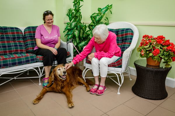 An elderly woman and a caregiver enjoy a moment with a friendly dog, highlighting the benefits of pet therapy in senior care settings.