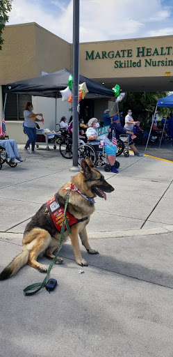 A German Shepherd service dog patiently waits at a lively outdoor community event.