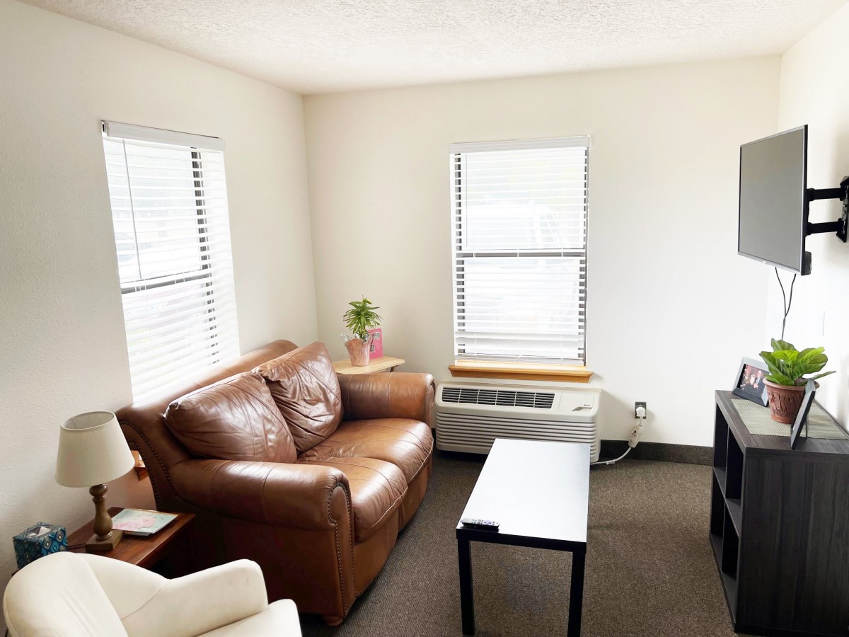 A cozy, minimalist living room with a brown leather sofa, white coffee table, and an indoor plant near two windows.