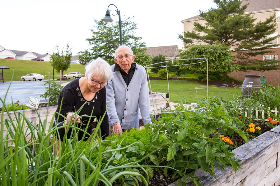 An elderly couple tending to their garden on a pleasant day.