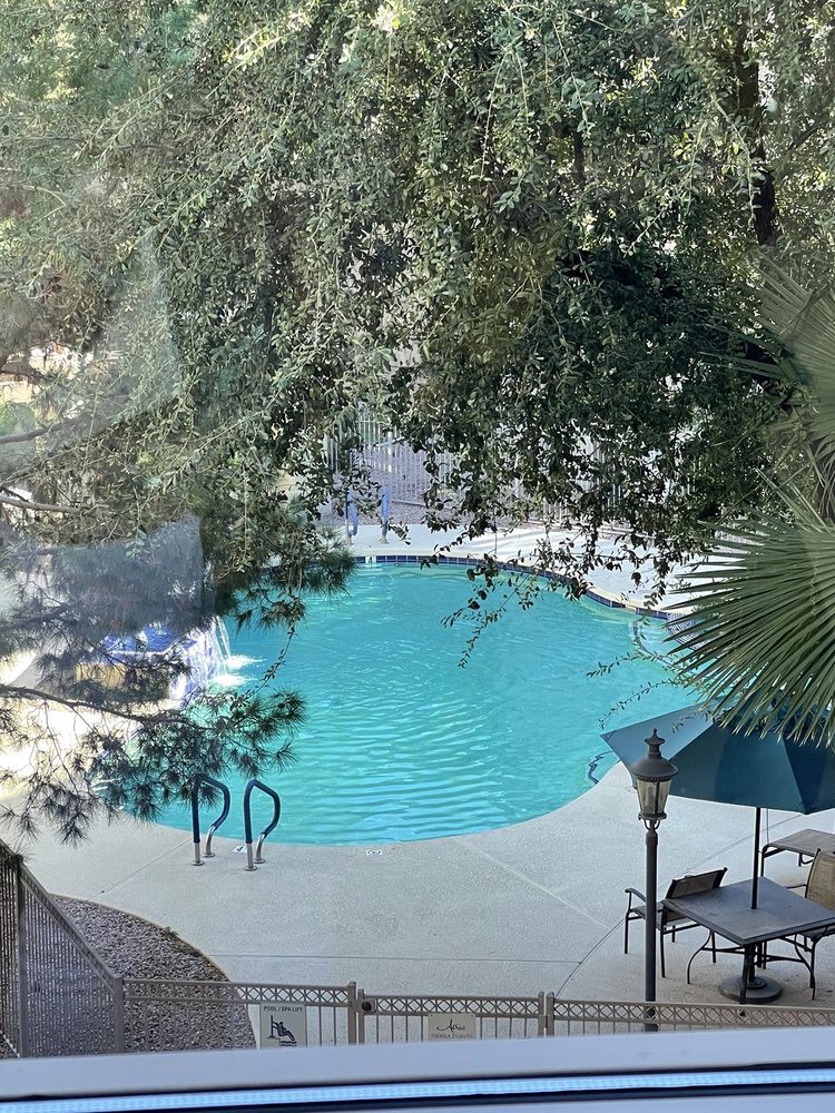A serene outdoor swimming pool surrounded by lush greenery and patio furniture.
