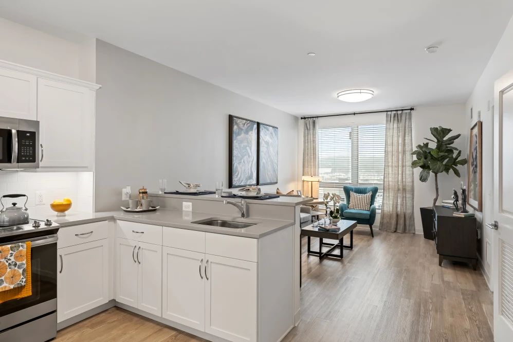 A modern open-plan kitchen and living room with contemporary furnishings and ample natural light.