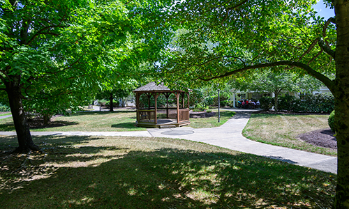 A peaceful park scene with a wooden gazebo surrounded by lush green trees and intersecting pathways.