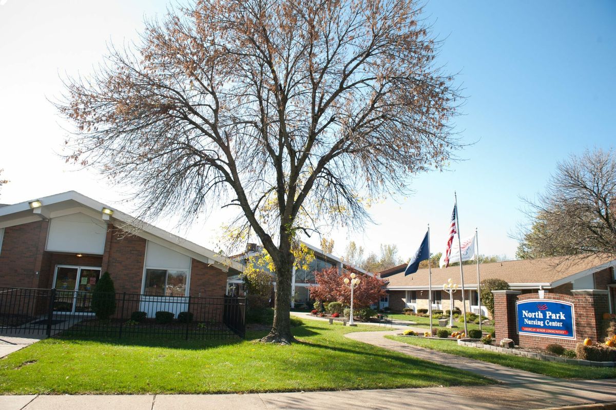 A suburban neighborhood with neatly maintained lawns, a large tree, and flags in front of brick buildings on a sunny day.