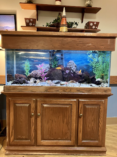 A vibrant aquarium featuring colorful fish and decorative plants, housed in a wooden cabinet.