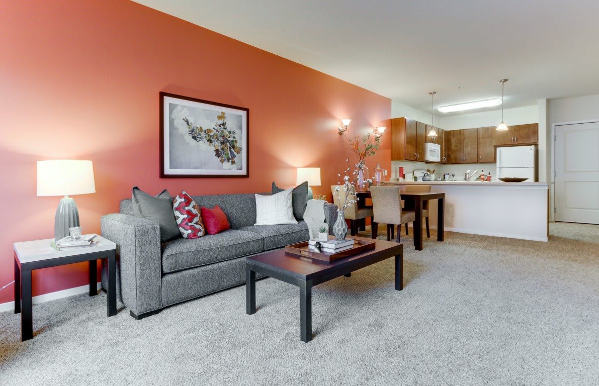 A cozy living room with a gray sofa, vibrant orange accent wall, and an open kitchen-dining area.