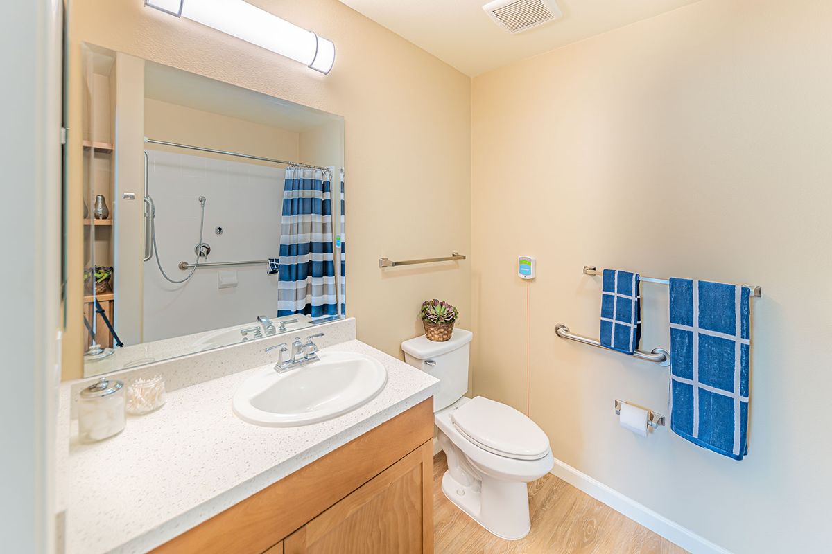 A neatly arranged bathroom featuring a sink, mirror, toilet, and blue towels.