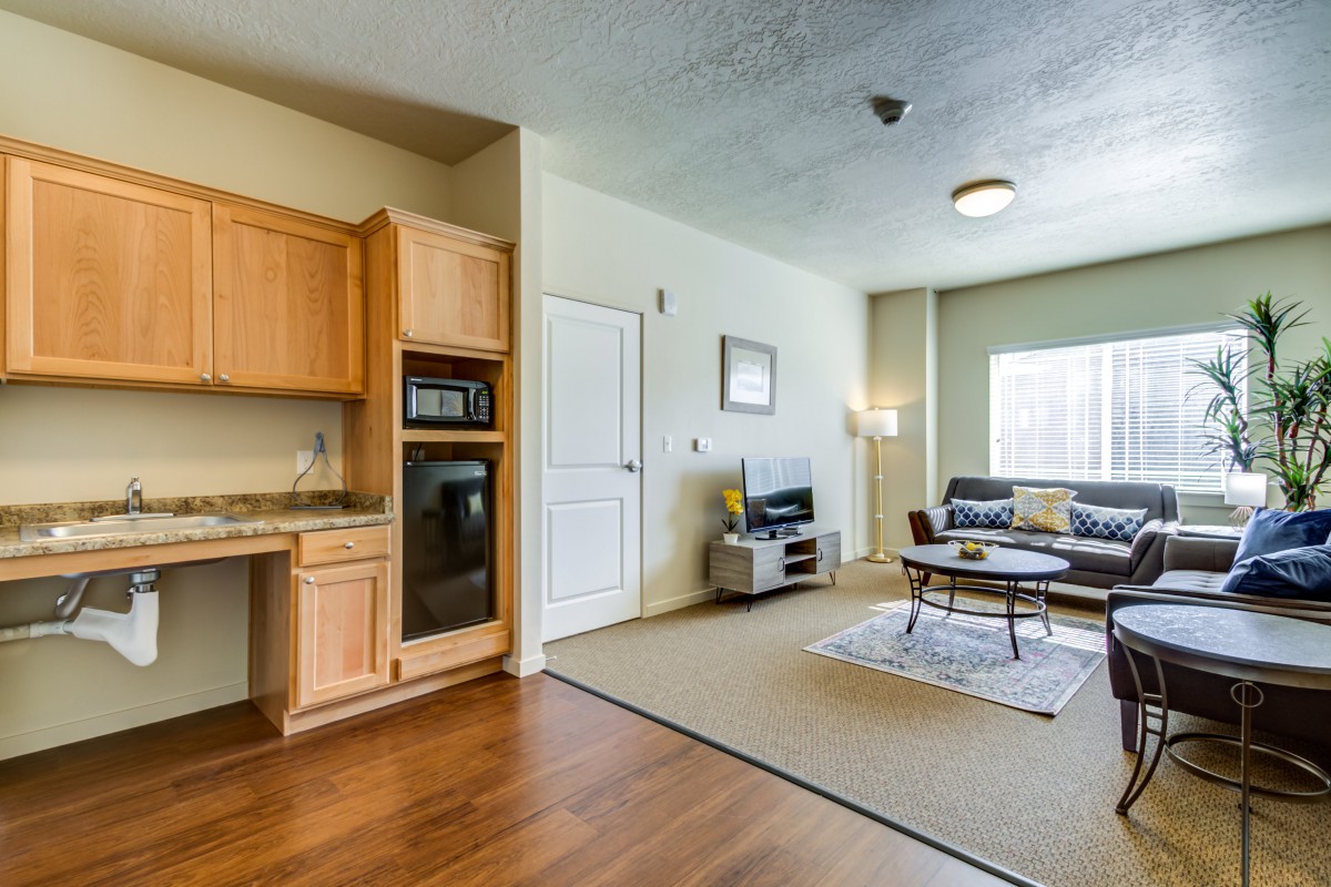 A modern open-plan living area with wooden floors, a cozy seating arrangement, and a compact kitchen.