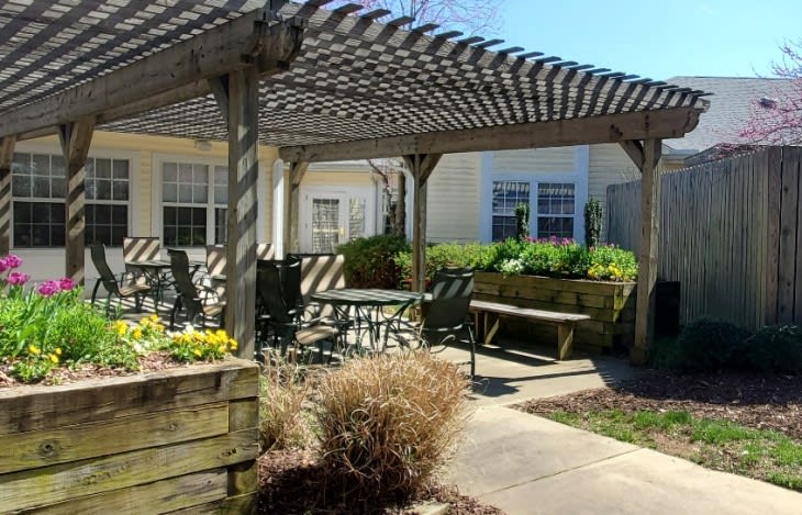 A sunny patio garden with a pergola and outdoor seating area.