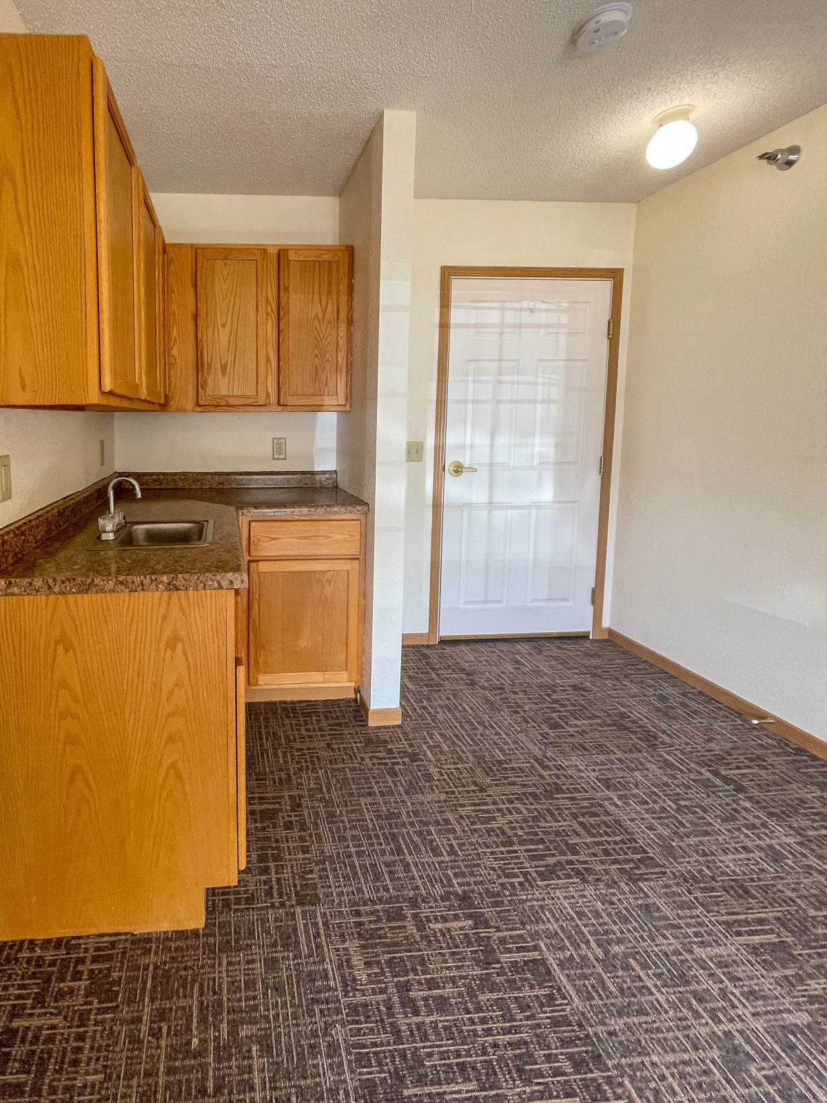A small kitchen area featuring wood cabinets and carpeted flooring, with a door leading outside.
