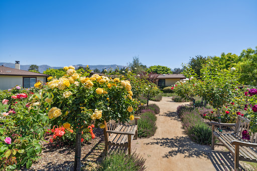 A serene garden pathway adorned with vibrant flowers and a cozy bench, inviting visitors to enjoy the beauty of nature.