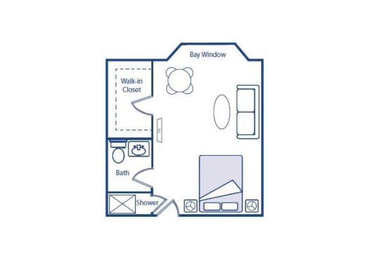 Studio apartment floor plan featuring a bay window, walk-in closet, bathroom, and living area.