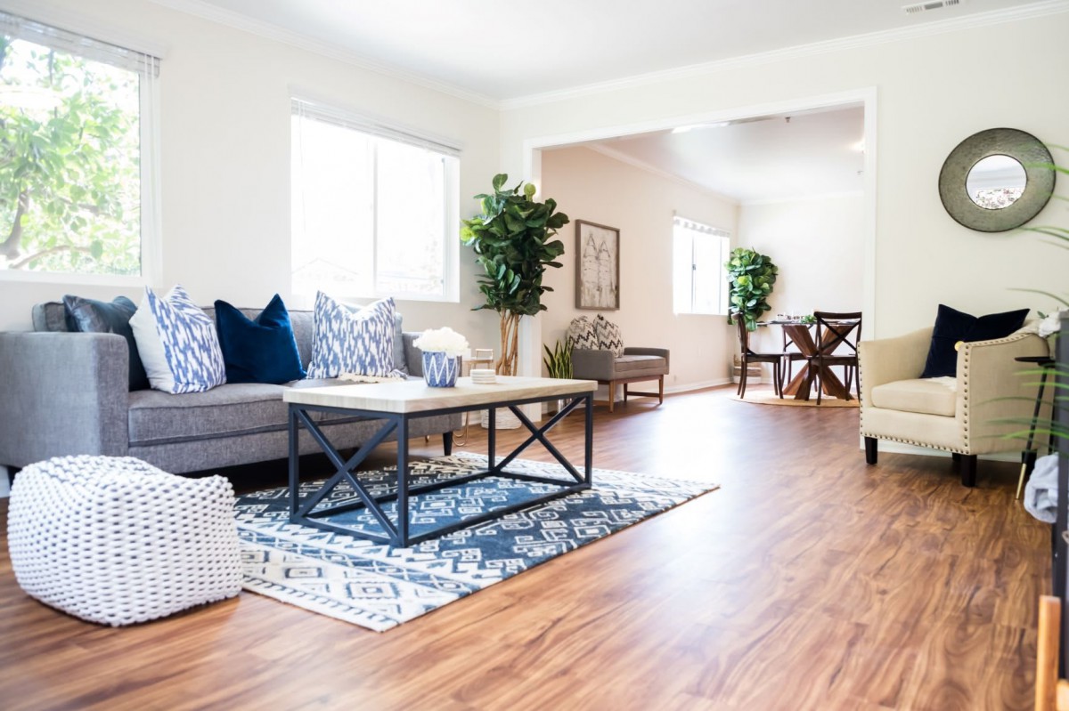 A bright and modern living room with a comfortable sofa, coffee table, and decorative plants.