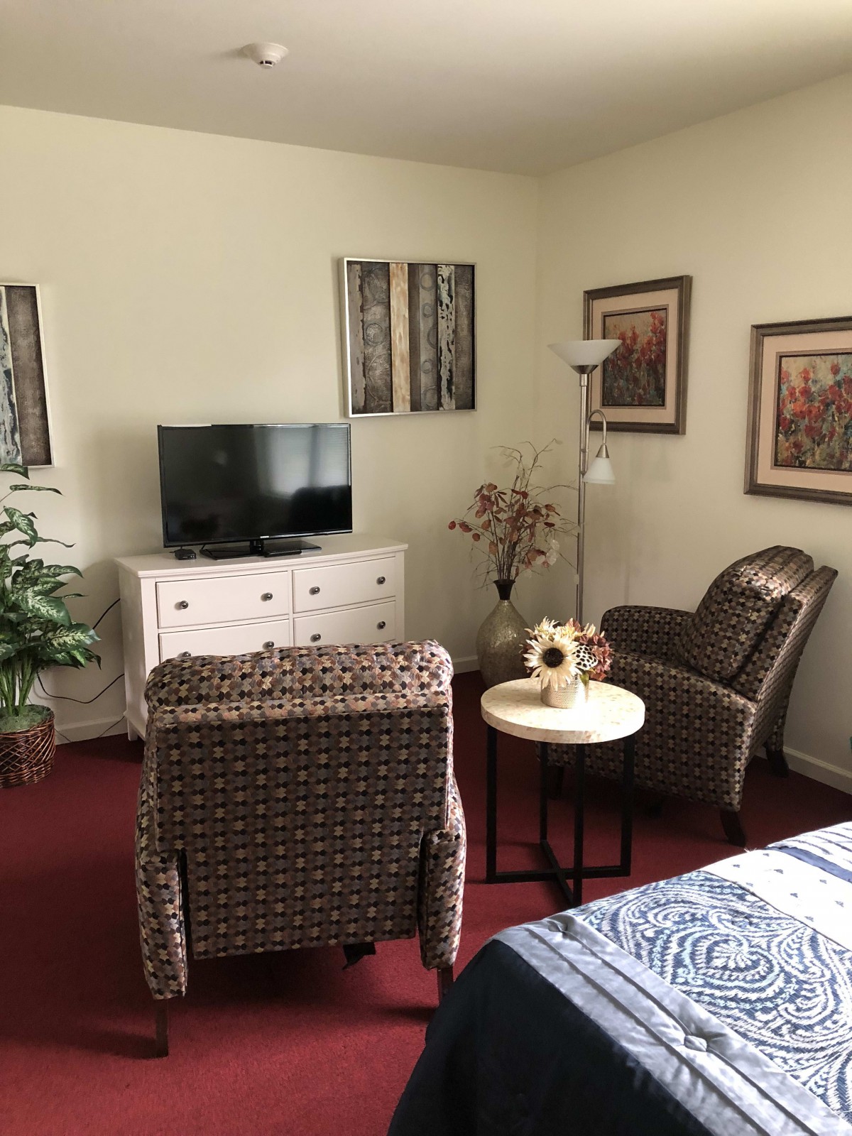 A cozy living room with a television, armchairs, and decorative elements.