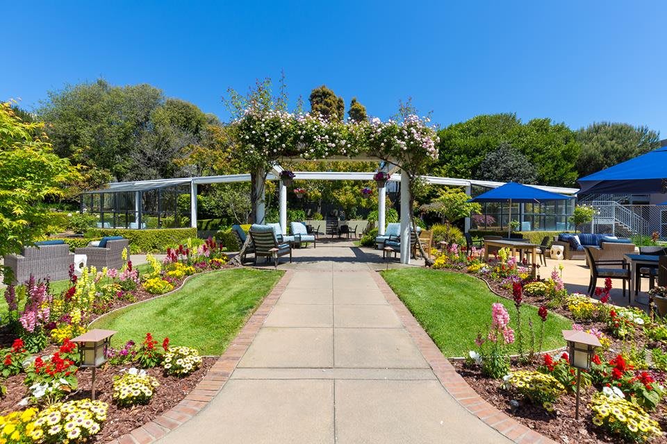 A beautifully landscaped garden featuring a pathway leading to an archway adorned with greenery and flowers.