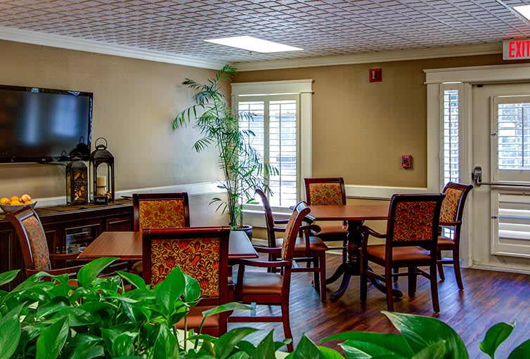 A cozy dining room with wooden tables and chairs, complemented by green plants near the window.