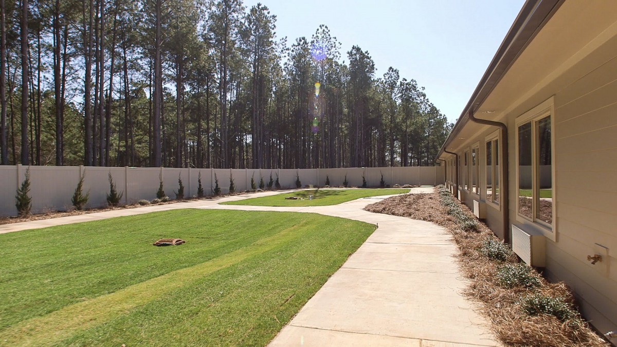 A landscaped yard featuring a sidewalk, well-maintained lawn, and a row of trees along a fenced boundary.