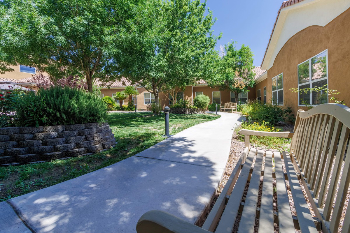 A serene outdoor pathway lined with trees and benches, leading to a building on a sunny day.