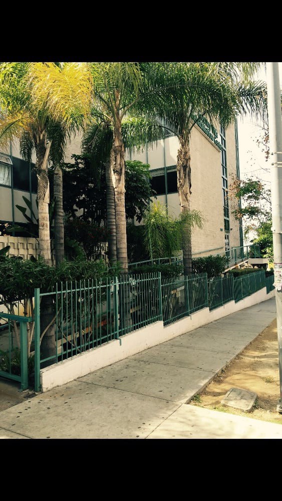 An urban scene with palm trees lining the sidewalk in front of a modern building enclosed by a green metal fence.