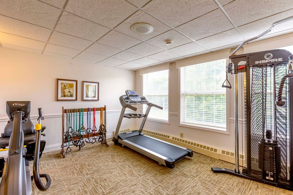A cozy home gym featuring a treadmill and other exercise equipment.