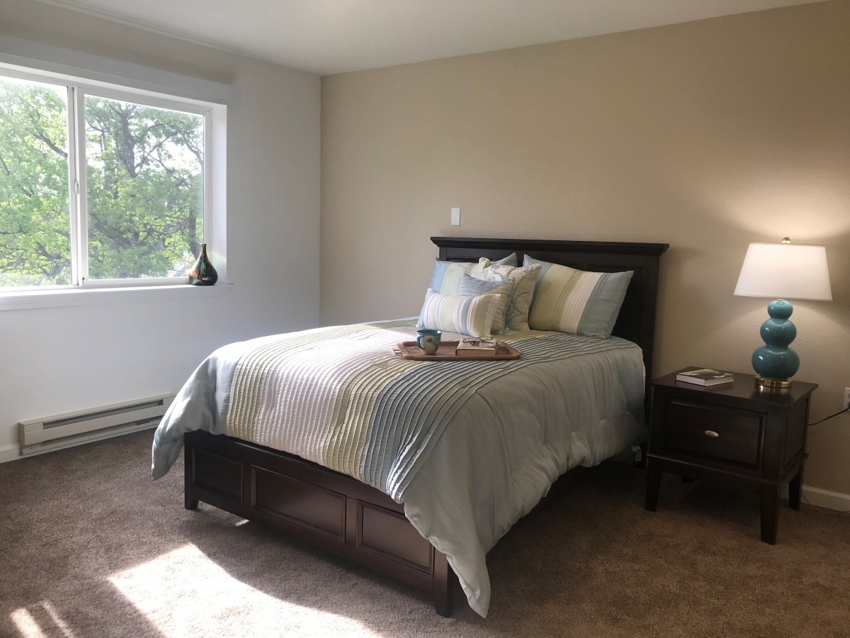 A cozy bedroom with a neatly made bed and a side table lamp next to a window.
