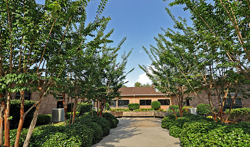 A serene pathway lined with trees, leading to a building surrounded by lush greenery.