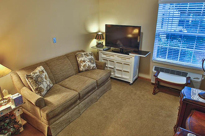 A cozy living room with a sofa, TV, and lamp by the window.