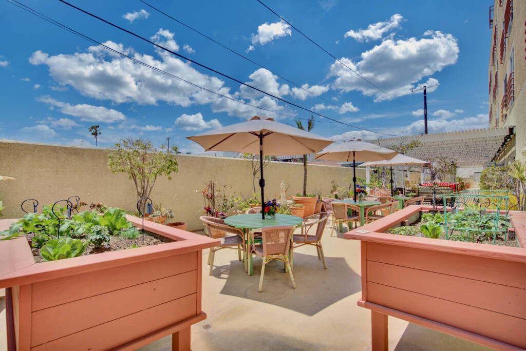 A sunny outdoor patio area with umbrellas and seating surrounded by a garden.