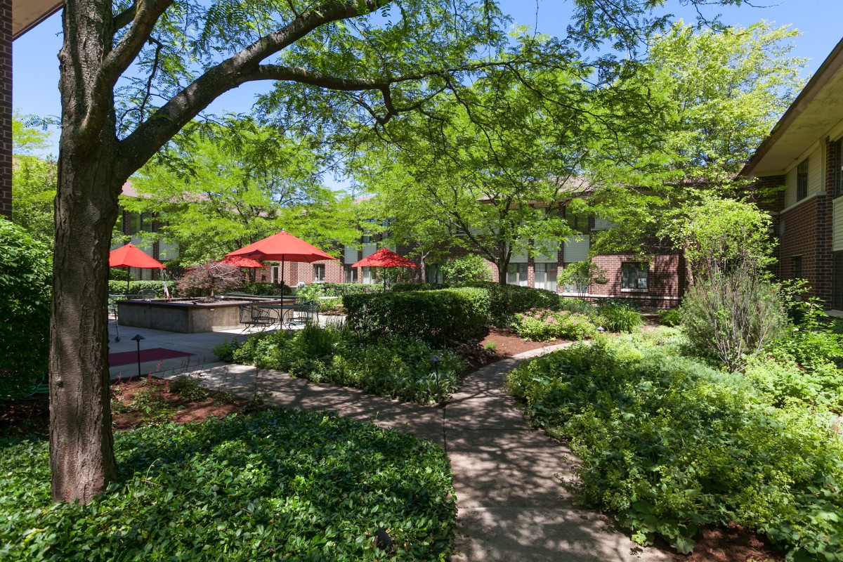 A lush garden area with a walkway, surrounded by greenery and red umbrellas.