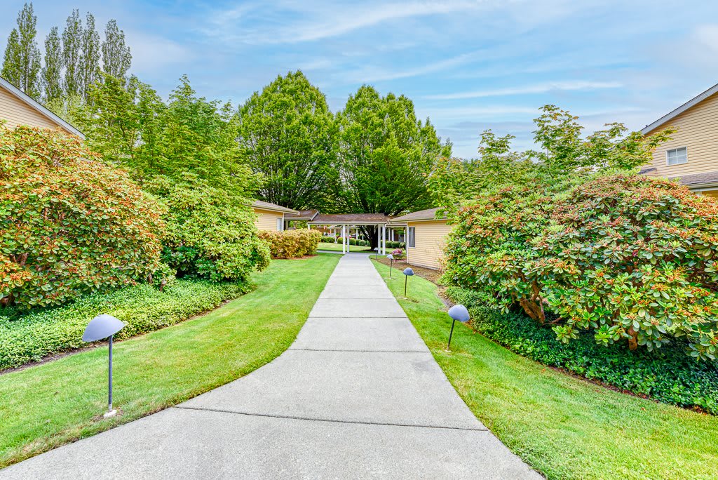 A scenic view of a house with a long pathway surrounded by lush greenery and a clear sky.