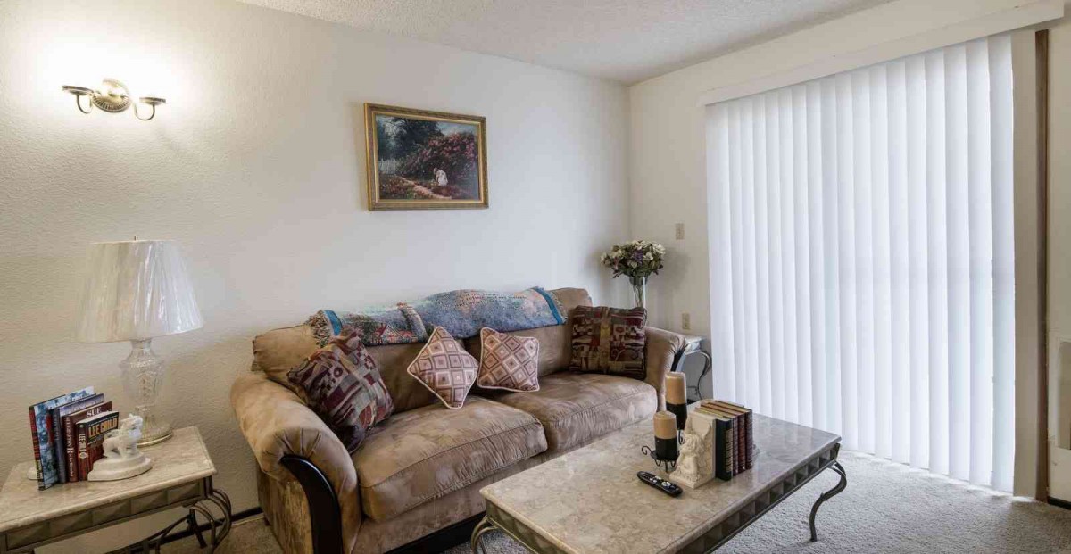 A cozy living room with a comfortable sofa, adorned with patterned cushions and a soft blanket. A coffee table is neatly arranged with books and decorative items, while a painting adds charm to the wall above.