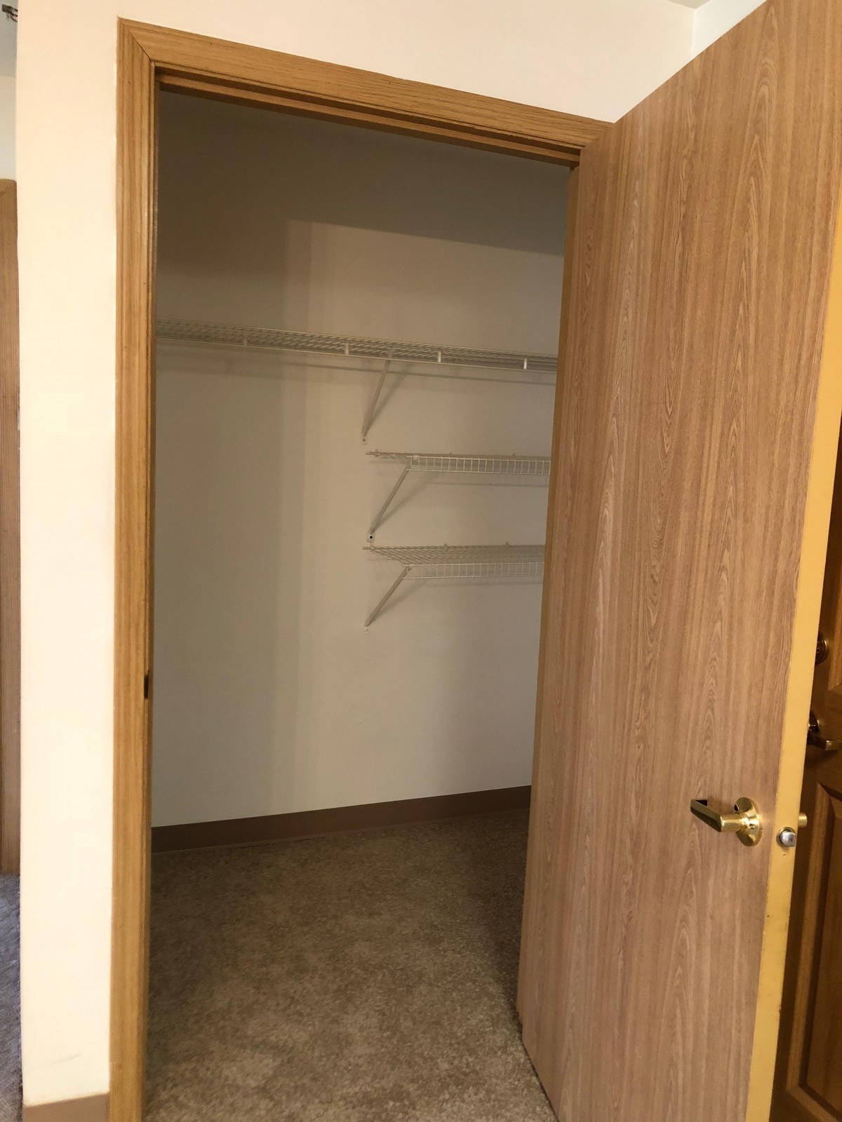 An empty closet with shelves and a hanger rod, viewed through an open door.