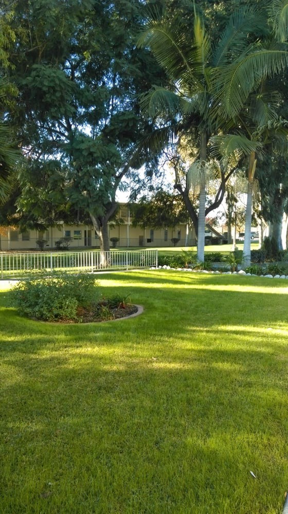A tranquil park scene with lush grass, tall trees, and a garden surrounded by a fence.