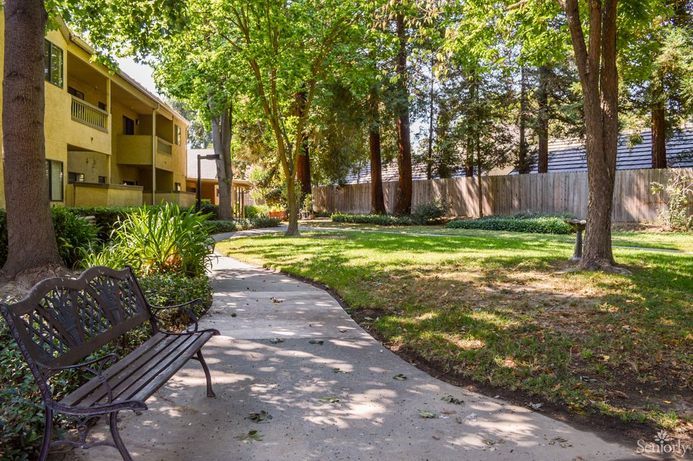 A peaceful park setting with a winding pathway, surrounded by lush greenery and shaded by tall trees.