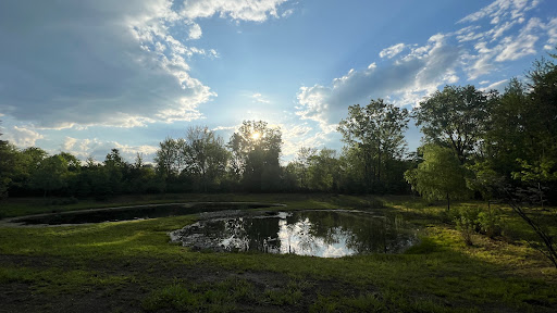 A serene landscape showcasing a pond under a partly cloudy sky, with reflections of the surrounding trees.
