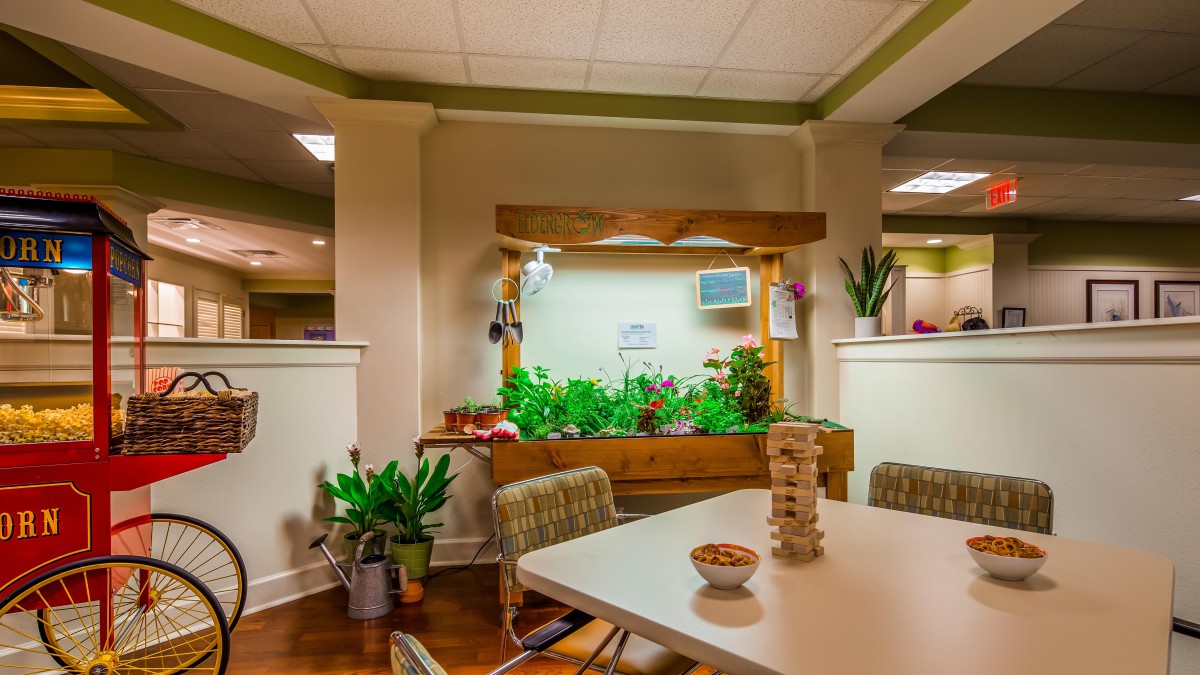 A cozy room featuring an indoor garden setup with various plants, a table with chairs, and a Jenga game on the table.