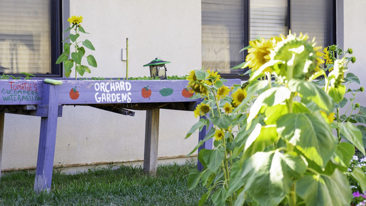 Orchard Gardens