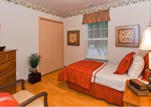 A cozy bedroom with a single bed featuring orange bedding, accented by framed artwork and a decorative plant.