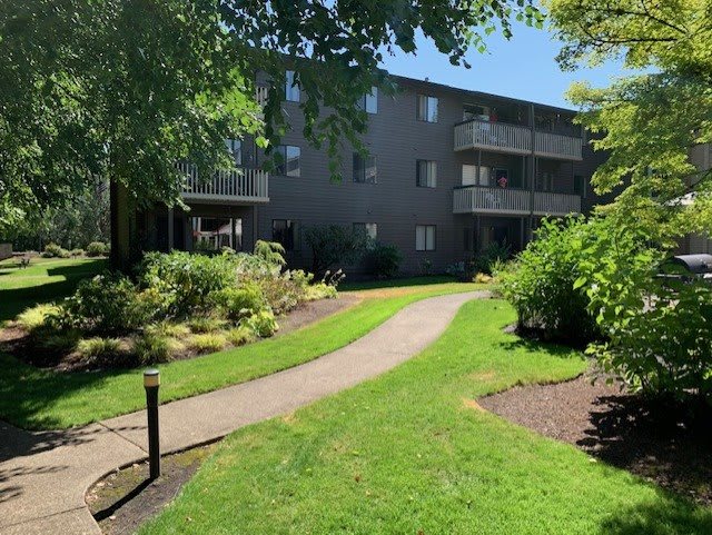 A sunny outdoor scene with a pathway leading through lush greenery and an apartment building in the background.