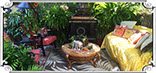 Lucie's Shady Rest