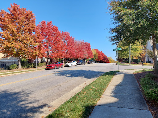 A serene autumn day showcasing vibrant red and orange trees lining the street under a clear blue sky.